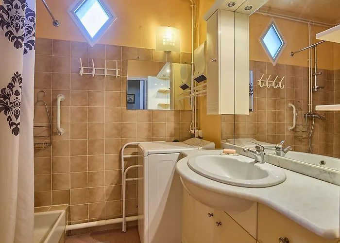 アパート T1 Bis Avec Balcons Et Animaux Admis - Fr-1-841-67 *