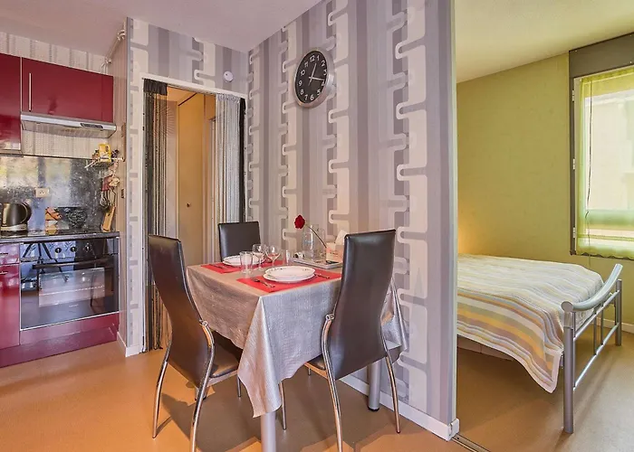 アパート T1 Bis Avec Balcons Et Animaux Admis - Fr-1-841-67 *