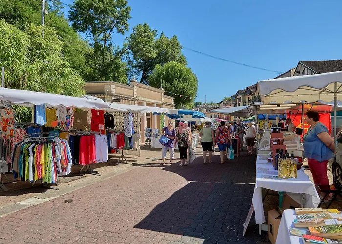 アパート T1 Bis Avec Balcons Et Animaux Admis - Fr-1-841-67 *