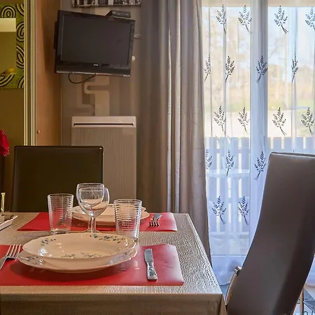 T1 Bis Avec Balcons Et Animaux Admis - Fr-1-841-67 דירה *