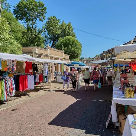 Lejlighed T1 Bis Avec Balcons Et Animaux Admis - Fr-1-841-67 *