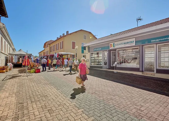 Apartment T1 Bis Avec Balcons Et Animaux Admis - Fr-1-841-67 Barbotan-les-Thermes